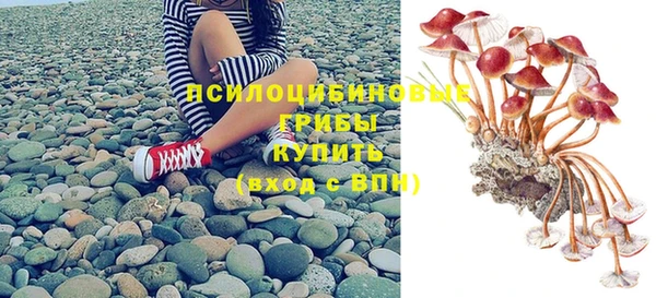 прущие грибы Белоозёрский