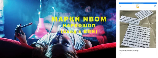 стаф Белокуриха