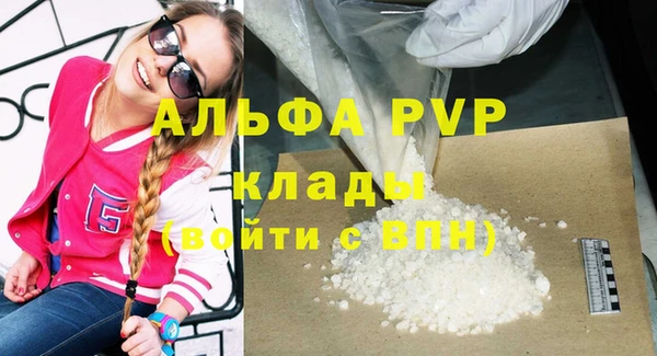 стаф Белокуриха