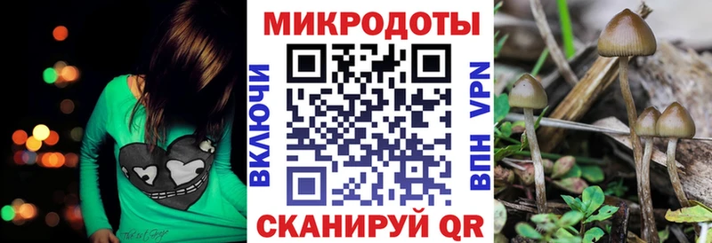 Галлюциногенные грибы Cubensis продажа наркотиков Гай