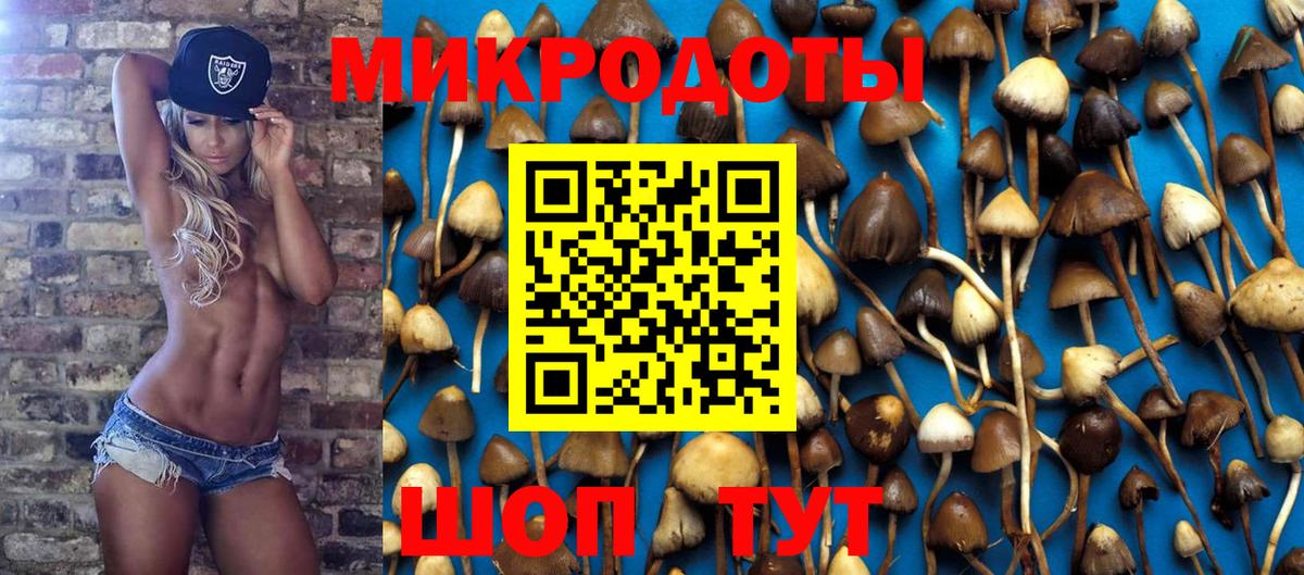 Галлюциногенные грибы ЛСД  Гай 