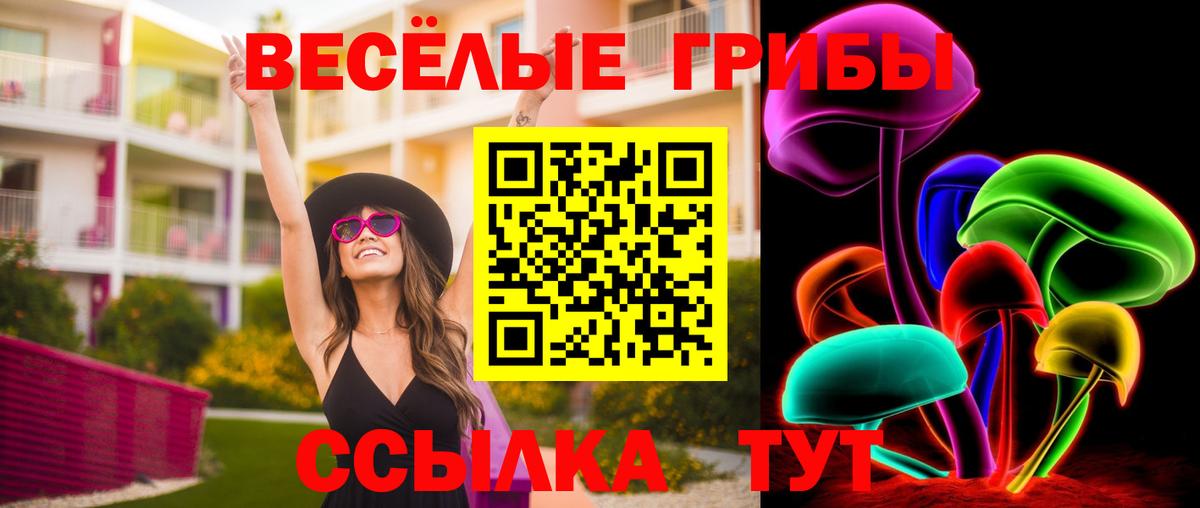 Галлюциногенные грибы GOLDEN TEACHER Гай